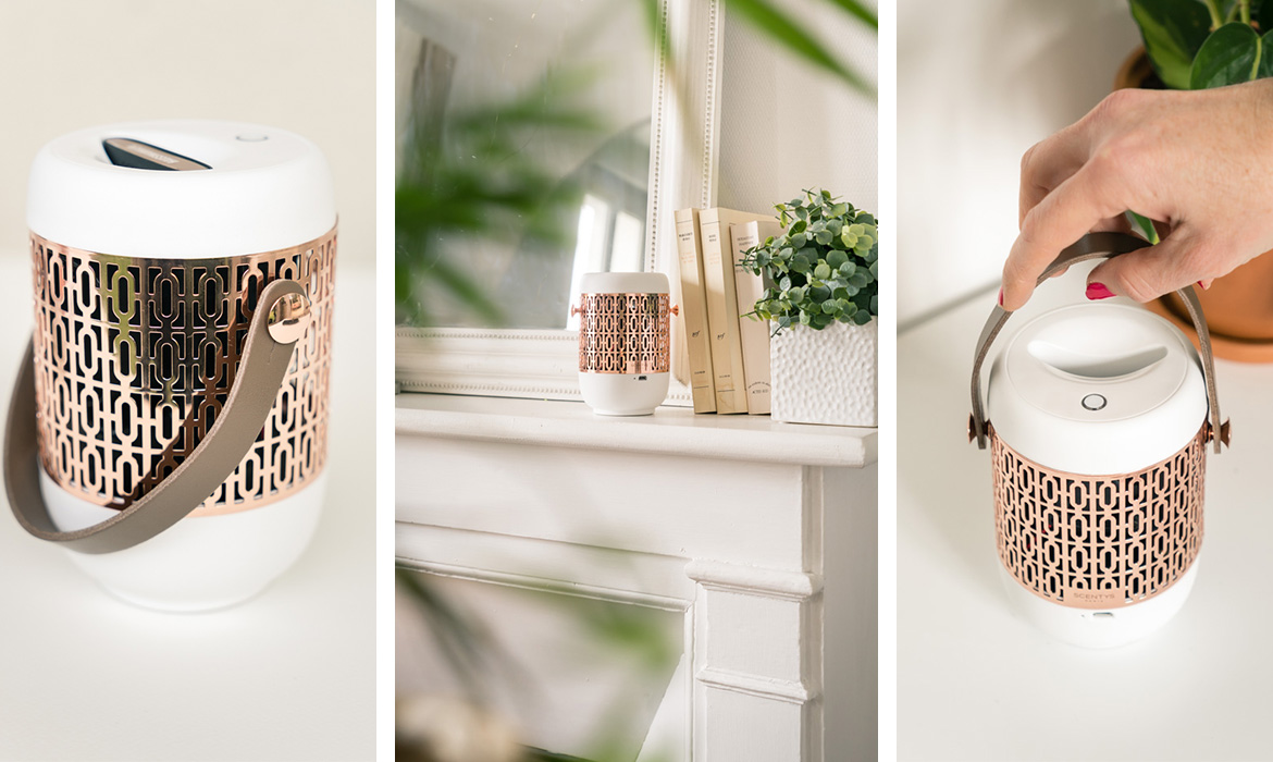 Parfum Dintérieur Naturel Fait Maison